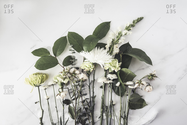 Variety of white flowers and greenery laying on white surface