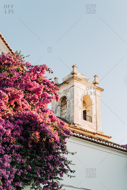 Bougainvillea in full blossom near an old church,