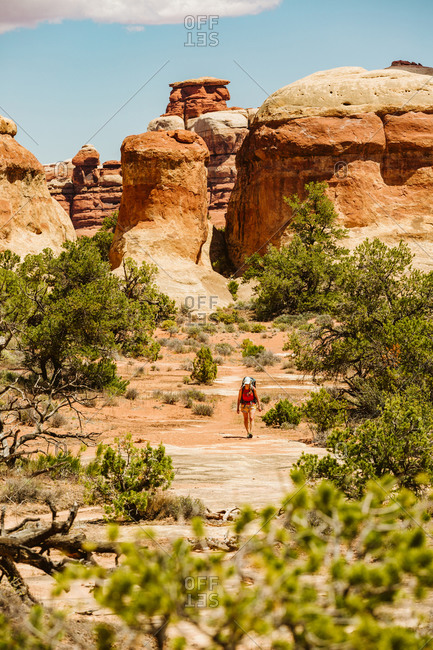 Female hiker walks under sandstone towers and brush in the maze Utah