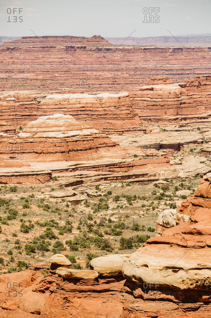 Layers of red and white sandstone form the maze in canyonlands Utah