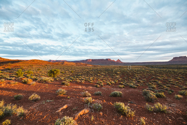 Early sun light over the scrublands of the Utah desert in canyonlands