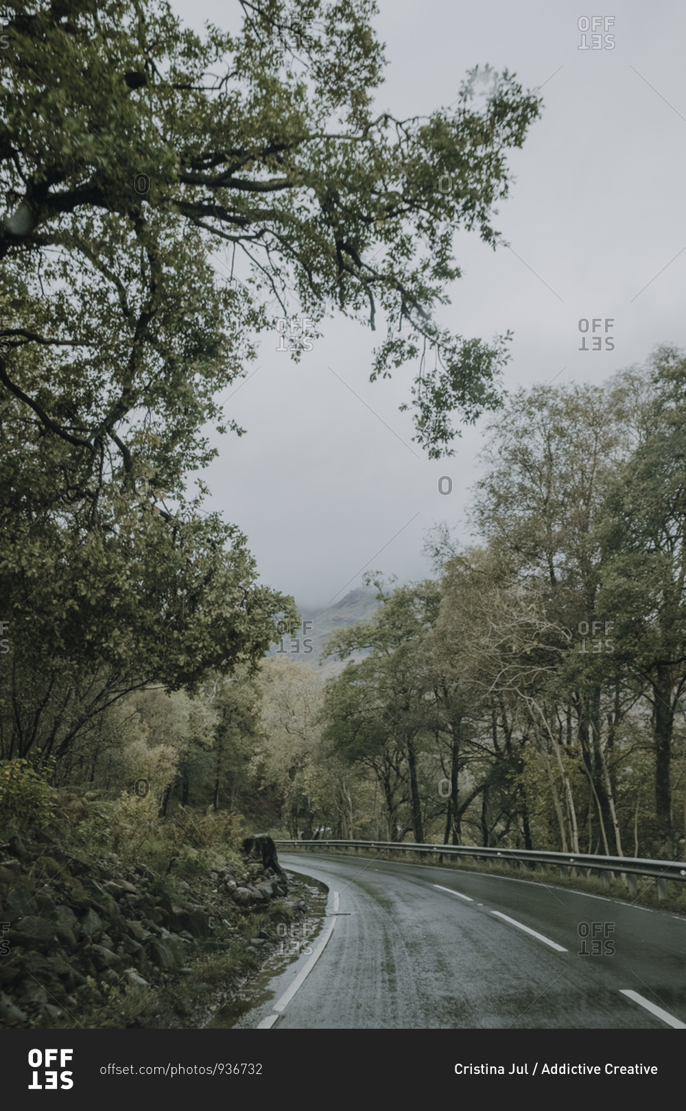 Gloomy scenery with curvy wet asphalt road running away through green forest in mountainous terrain in overcast weather in Scottish countryside