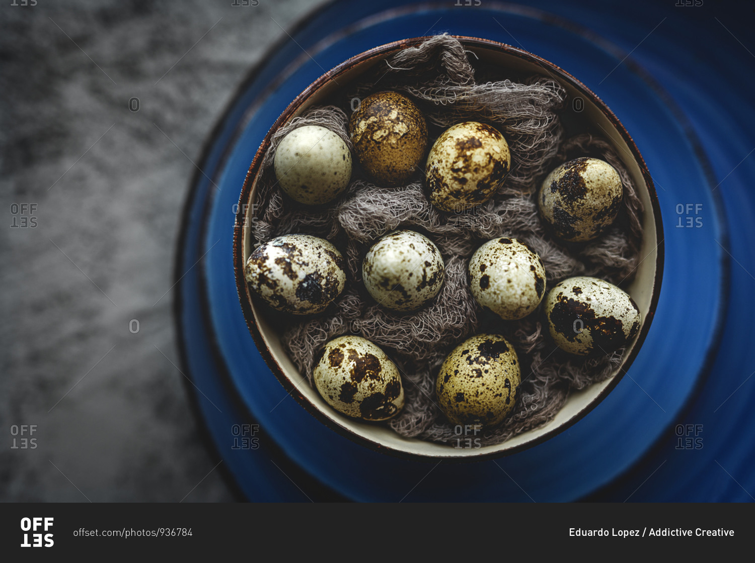 Fresh quail eggs on gray background from above. Flat lay. Top view