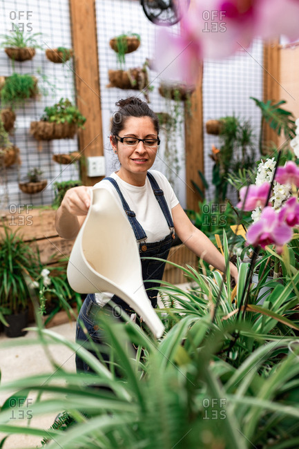 Side view of young female gardener smiling and watering blooming flowers and plants during work in wooden orangery