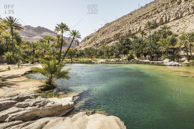 Oman- Ash Sharqiyah North Governorate- Riverbed surrounded by palm trees in Wadi Bani Khalid