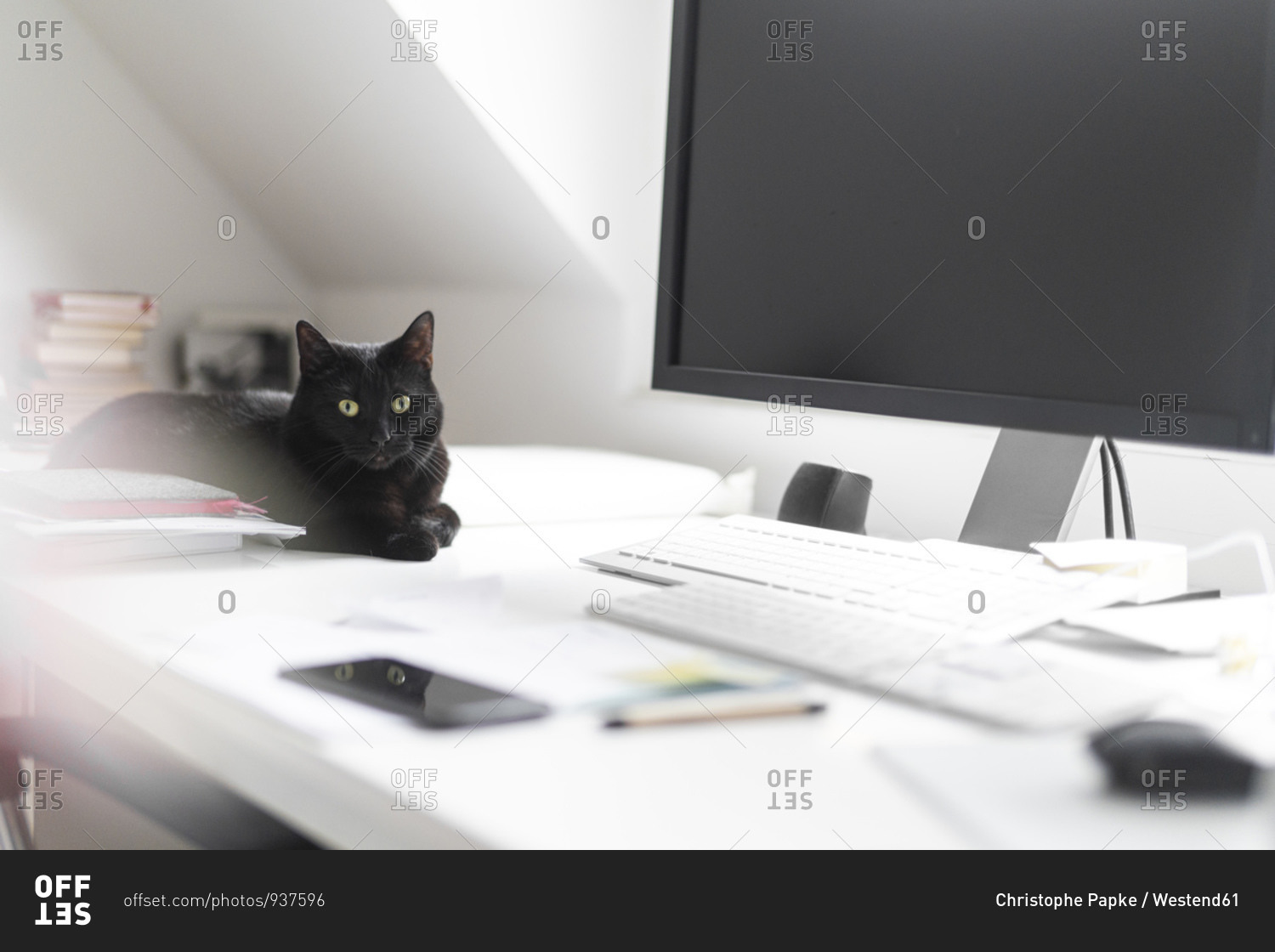 Black cat lying on desk at home