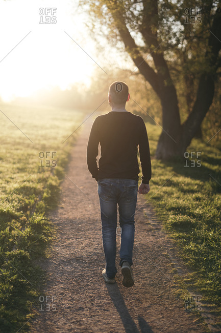 Back view of man walking in a park at twilight