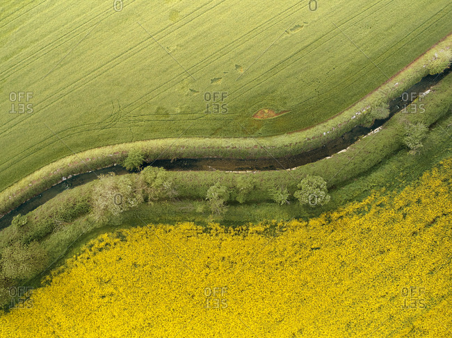 Aerial view of two cultivation fields split by an irrigation canal, Po Valley, Lombardy, Italy.