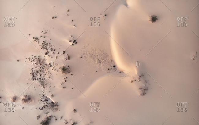 Aerial view of a desert plain with dunes and bushes at dawn near Corralejo, Fuerteventura, Spain.