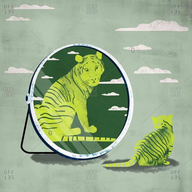 Little cat looks up against compares the mirror image of an adult tiger isolated on green sky background