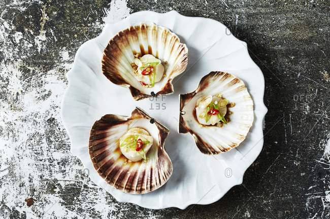 Still life with cooked scallops in scallop seashells, overhead view