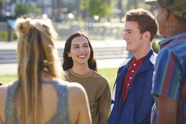 Four young adult friends chatting in park, Los Angeles, California, USA