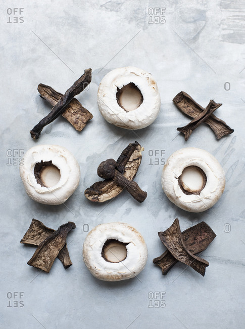 Variety of mushrooms arranged in noughts and crosses
