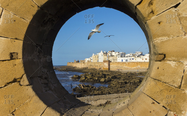 Gulls seen through port hole, Essaouira, Morocco