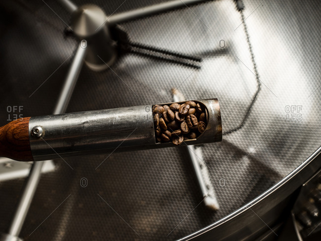 Scoop of coffee beans over coffee roaster