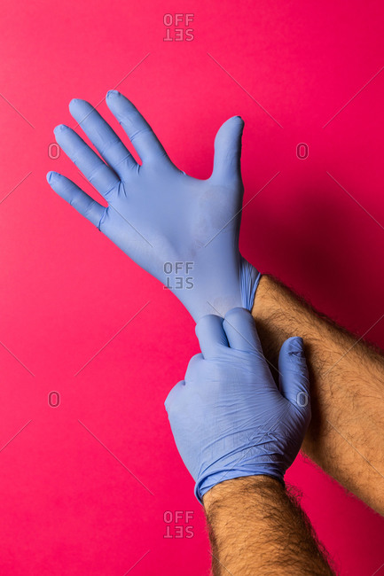 Unrecognizable doctor wearing blue latex gloves on a pink background on pink background