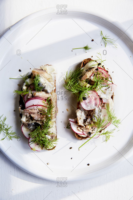 Two open sandwiches with sardines, radish and fresh dill on a white plate and background,