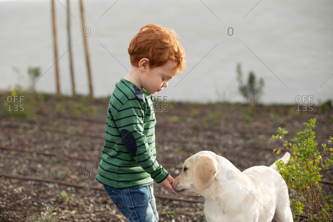 Boy giving pet puppy training treat