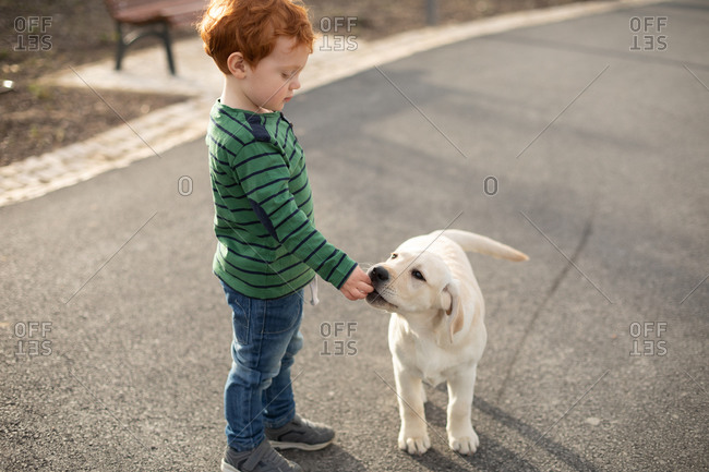 Boy giving pet puppy training treat