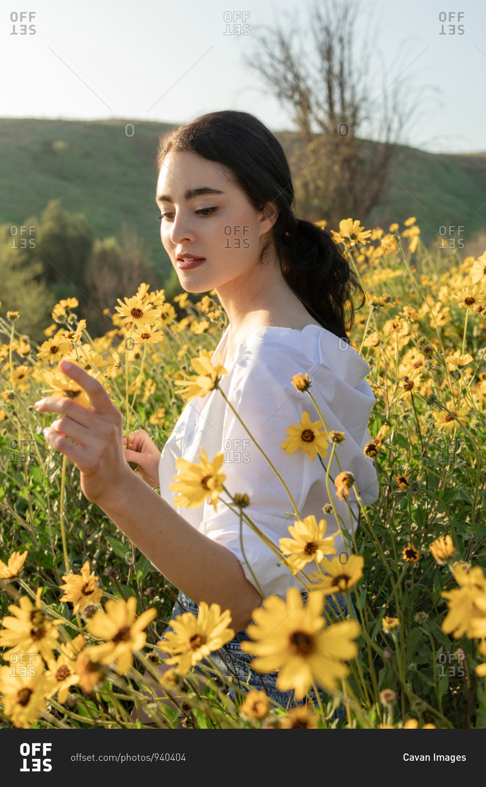 Pretty brunette holding flower in yellow flower fields and sunshine