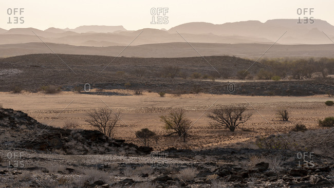 Hilly and arid landscape of the Namibian desert at sunrise