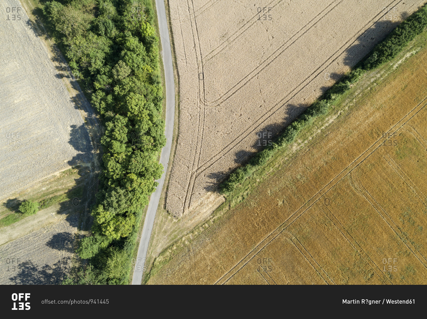 Germany- Bavaria- Drone view of country road cutting through yellow countryside fields in summer
