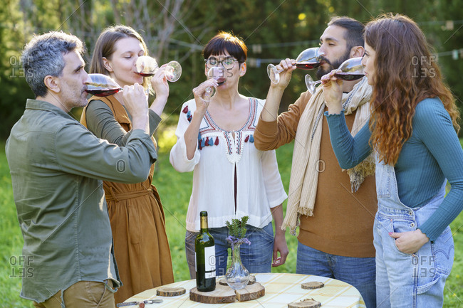 Group of friends drinking red wine on their getaway in the countryside