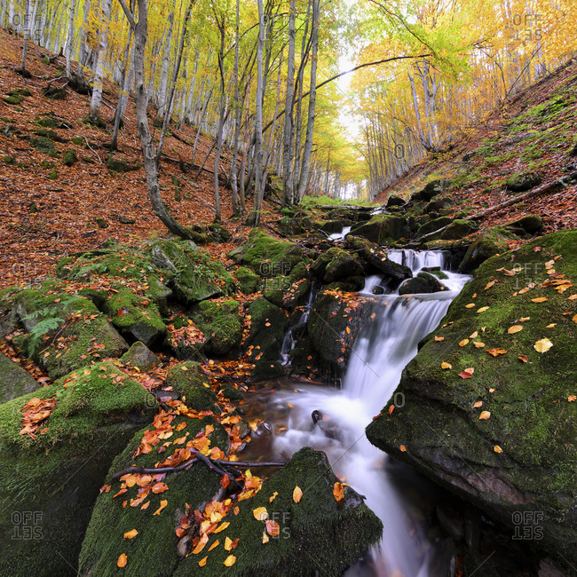 Ukraine, Zakarpattia region, Carpathians, Verkhniy Shypot waterfall, Blurred waterfall in autumn woods