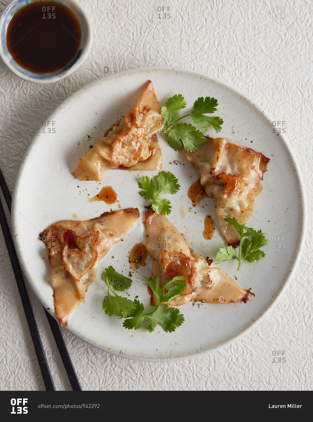 Serving of crispy dumplings with soy sauce stock photo OFFSET