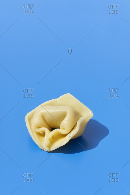 Lonely cooked tortellini on a blue background