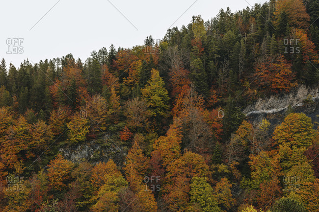 Landscapes and textures from mountain at autmn.