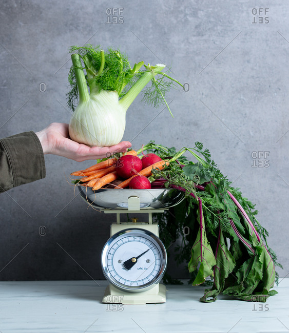 Female hand hold fennel near vintage scale with vegetables