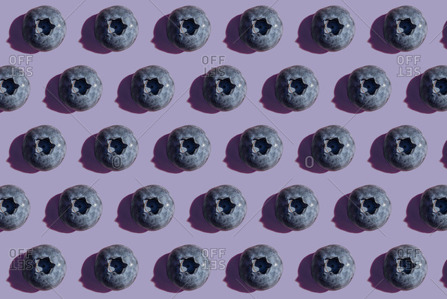 Blueberries in a row- pattern on purple background
