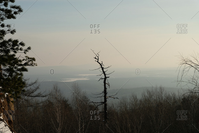 Winter Ural landscape. Forest horizons