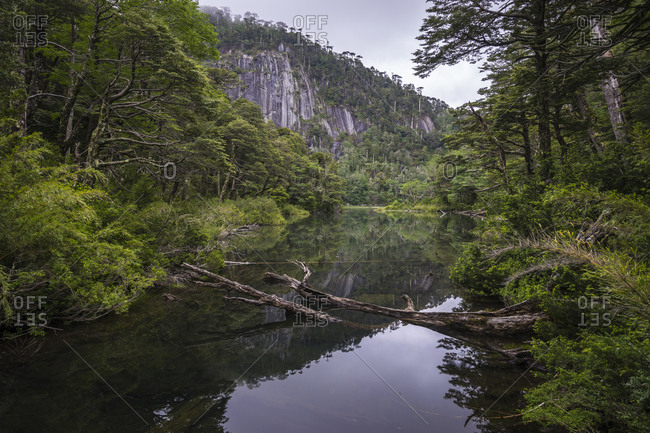 Scenic view of lake amidst forest in Huerquehue National Park at