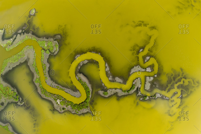 Aerial of Strange Waterways in SF Bay Marshland