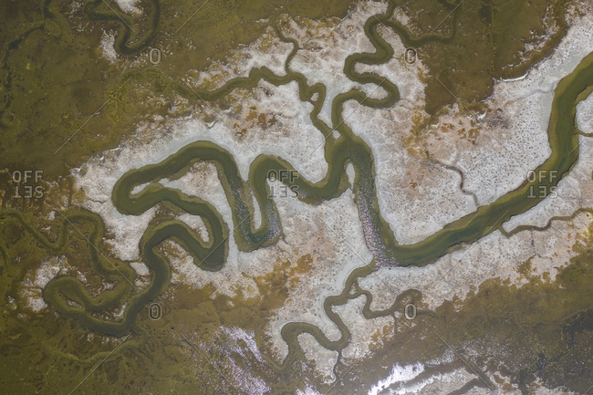 Aerial of Strange Green Waterways in SF Bay Marshland