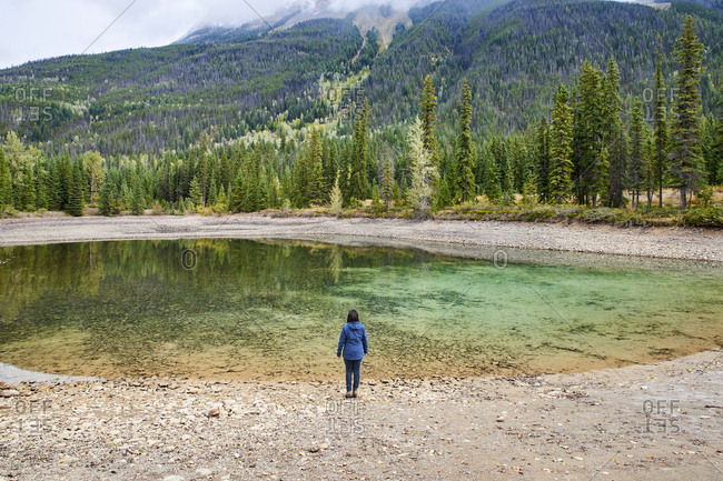 Rear view of woman looking at view while standing at Banff National Park