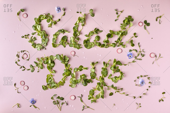 Words Salad Days made out of vegetable and flowers