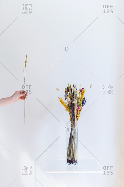 Conceptual interior design and minimal florist concept. Dry bouquet composition with white copy space. Wedding decoration concept.