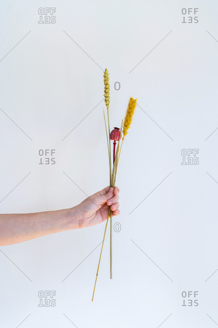 Conceptual interior design and minimal florist concept. Composition with white copy space. Wedding decoration concept.