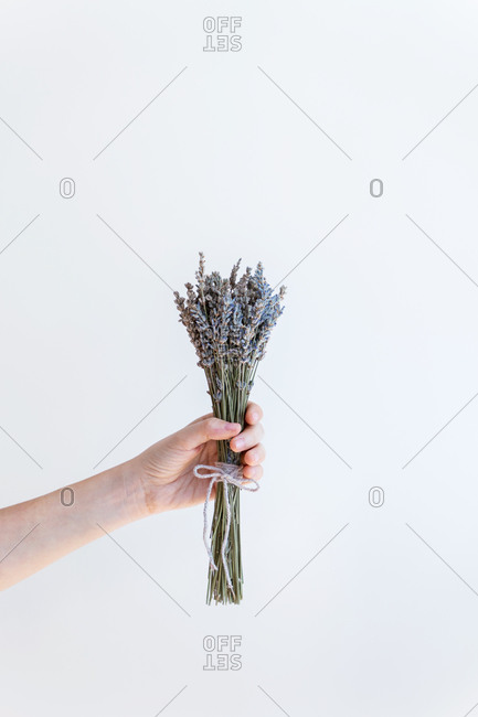 Conceptual interior design and minimal florist concept. Flower composition with white copy space. Bride and wedding and decoration concept.