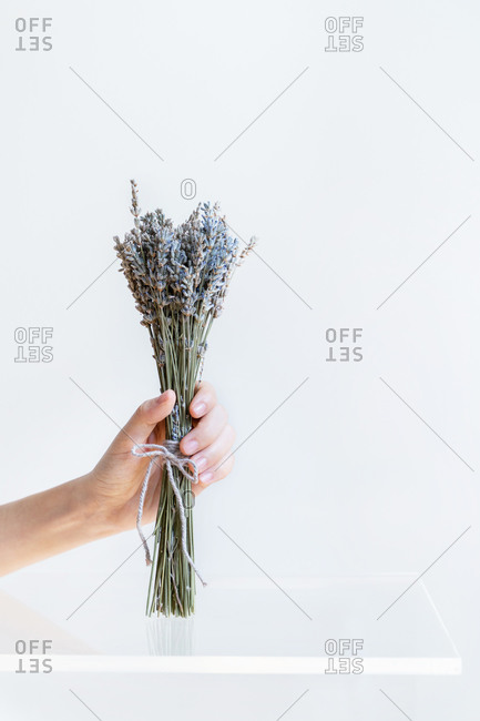 Conceptual interior design and minimal florist concept. Flower composition with white copy space. Bride and wedding and decoration concept.