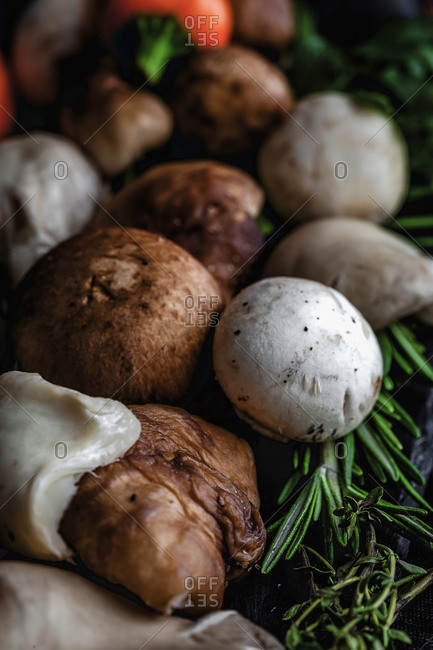 Wild mushrooms assortment with onions, chili peppers, thyme, rosemary and basil on dark background. Vegan food concept. Macro
