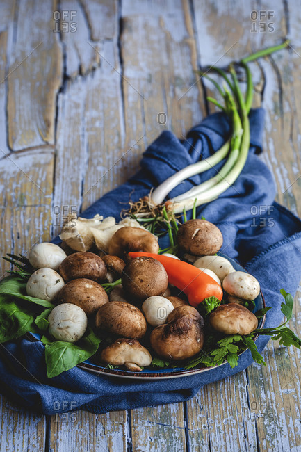 Wild mushrooms assortment with onions, chili peppers, thyme, rosemary and basil on gray background. Vegan food concept. Macro