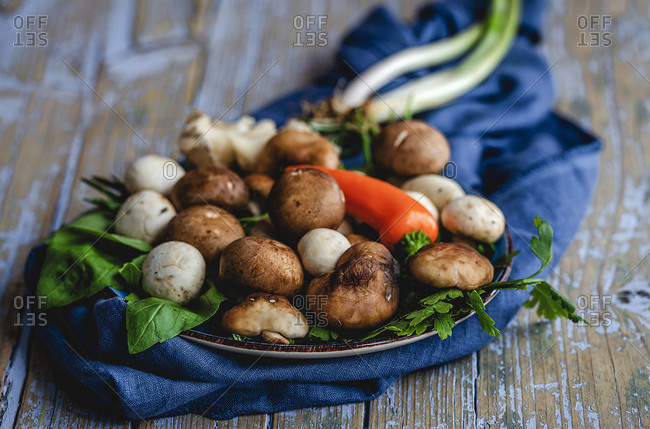 Wild mushrooms assortment with onions, chili peppers, thyme, rosemary and basil on gray background. Vegan food concept. Macro