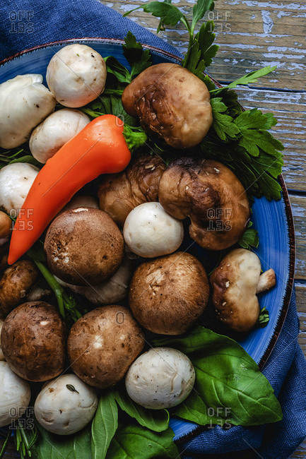 Wild mushrooms assortment with onions, chili peppers, thyme, rosemary and basil on gray background. Vegan food concept. Macro