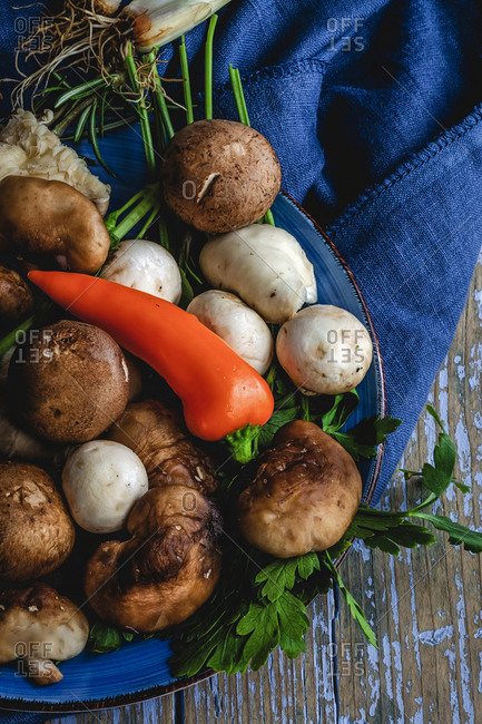Wild mushrooms assortment with onions, chili peppers, thyme, rosemary and basil on gray background. Vegan food concept. Macro