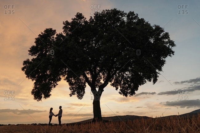 Silhouettes of unrecognizable man and woman holding hands and standing under tree against cloudy sundown sky during romantic date in nature