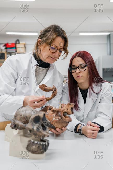 Scientists examining skull in lab
